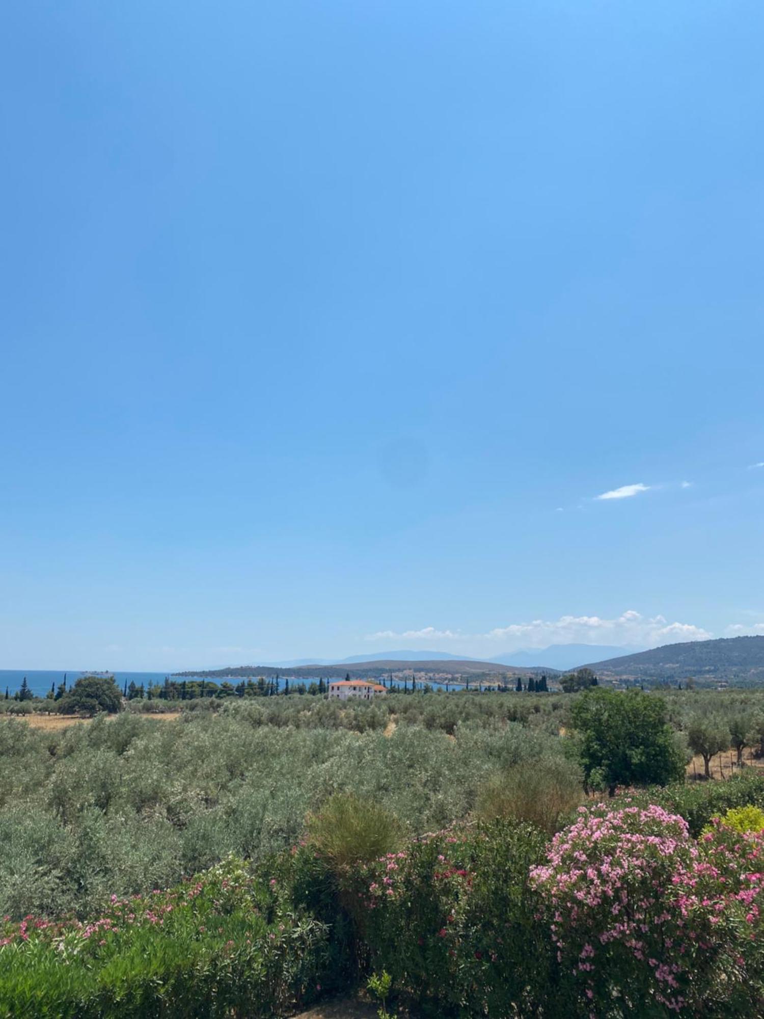 Georges Villa Galaxidi, Family, Pool And Garden Extérieur photo