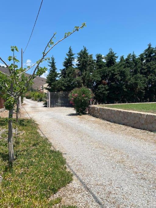 Georges Villa Galaxidi, Family, Pool And Garden Extérieur photo