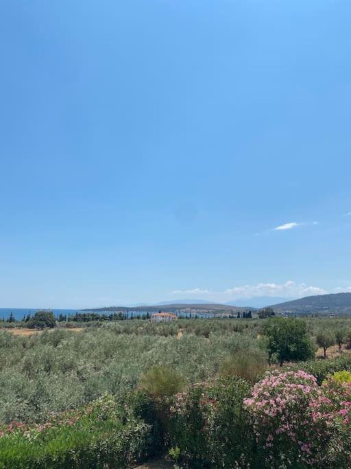 Georges Villa Galaxidi, Family, Pool And Garden Extérieur photo
