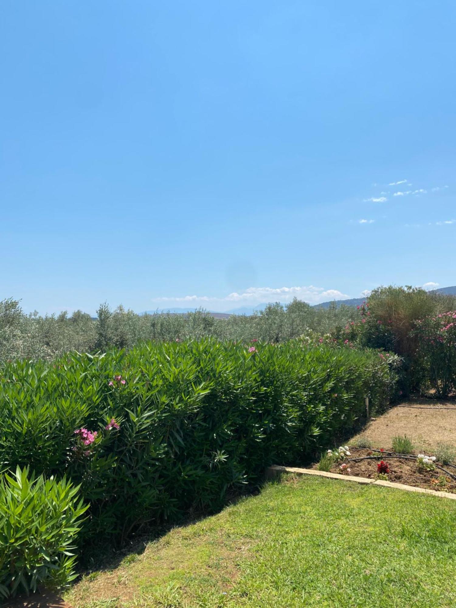 Georges Villa Galaxidi, Family, Pool And Garden Extérieur photo