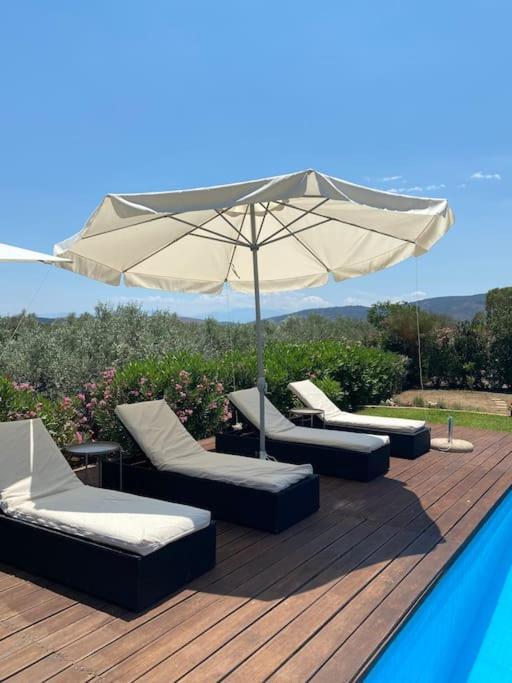 Georges Villa Galaxidi, Family, Pool And Garden Extérieur photo