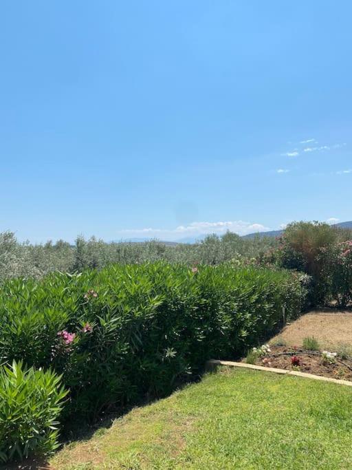 Georges Villa Galaxidi, Family, Pool And Garden Extérieur photo
